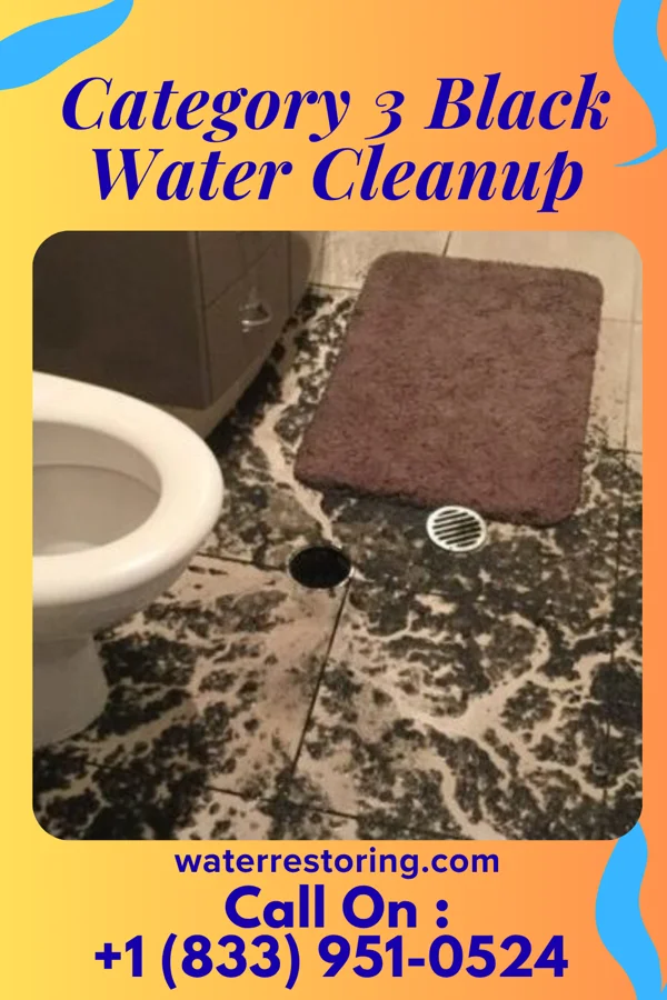 Category 3 Black Water Cleanup in Whitakers, NC