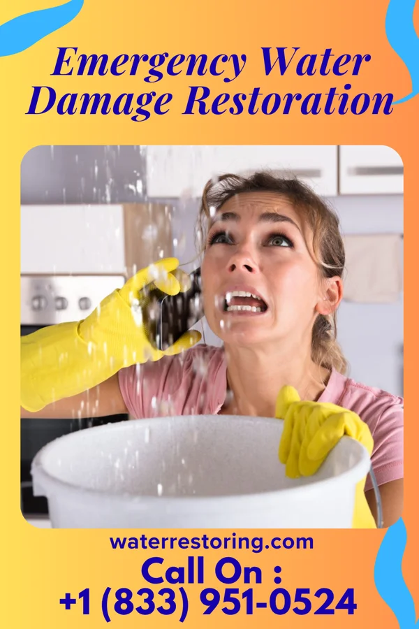Emergency Water Damage Restoration in Whitakers, NC