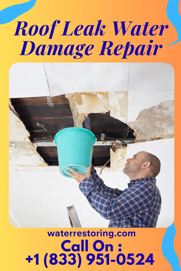 Roof Leak Water Damage Repair in Whitakers, NC