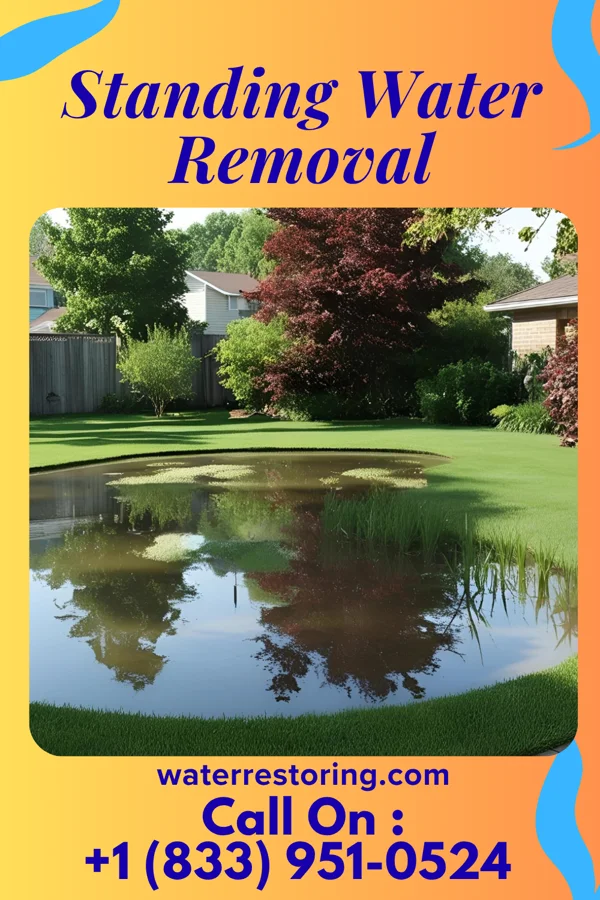 Standing Water Removal in Whitakers, NC